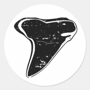 Schwarze, versteinerte Haizahnkleber Runder Aufkleber