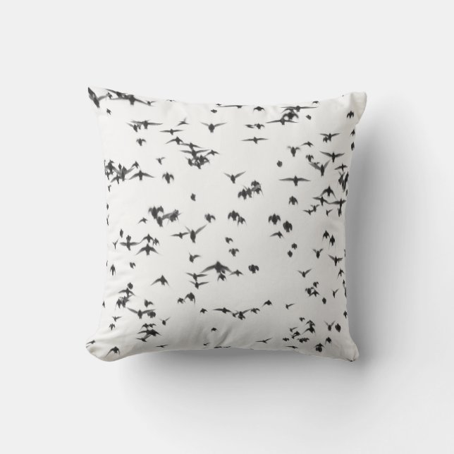 SCHWARZE VÖGEL, DIE AUF DEM HIMMEL FLIEGEN KISSEN (Vorderseite)