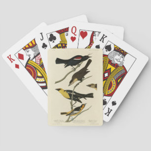 Schwarze Vögel und Oriole, Audubons Vögel von Amer Spielkarten