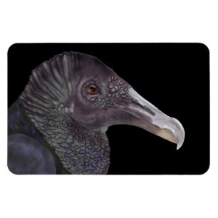 Schwarze Vulture-Illustration Magnet