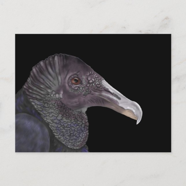 Schwarze Vulture-Illustration Postkarte (Vorderseite)