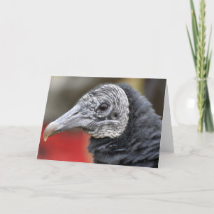 Schwarze Vulturfotografie Karte