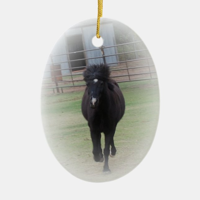 Schwarze Waliser-Pony-Verzierung Keramikornament (Vorne)