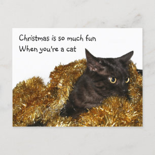 Schwarze Weihnachtskatze Feiertagspostkarte