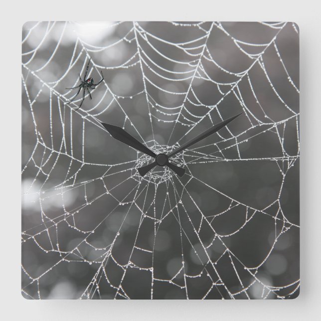 Schwarze Witwe im Spider Web | Halloween Quadratische Wanduhr (Vorderseite)