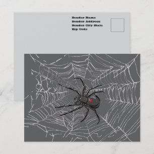Schwarze Witwe Spiderweb Zeichnend Kunst Postkarte