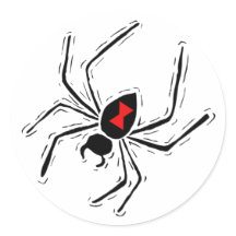 Schwarze Witwe-Spinne