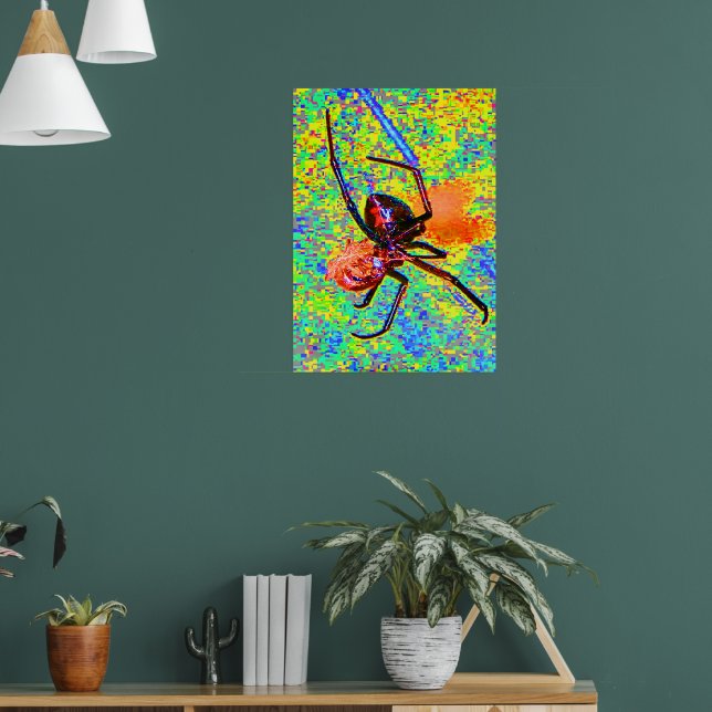 Schwarze Witwenspinne fressendes Poster (Wohnzimmer 1)
