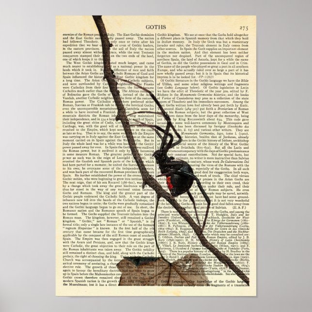 Schwarze Witwenspinne, Gotik, Natur, Arachnophobie Poster (Vorne)