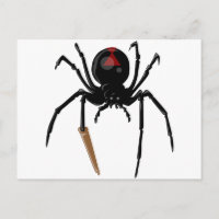 Schwarze Witwenspinne