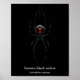 Schwarze Witwenspinnenposter (Halbglanz) Poster