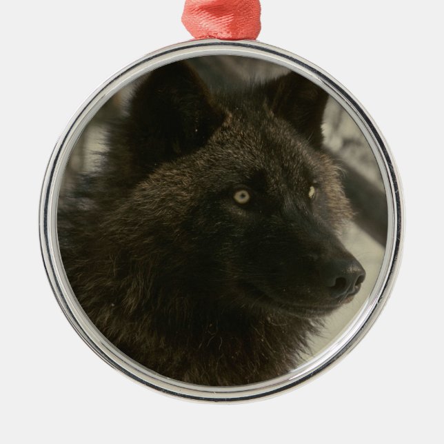 Schwarze Wolf-Weihnachtsverzierung Silbernes Ornament (Vorne)