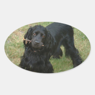 schwarzenglische Cocker spaniel full 2 Ovaler Aufkleber