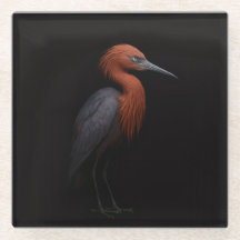 Schwarzer 4 Luxe Glas Untersetzer, Reddish Egret