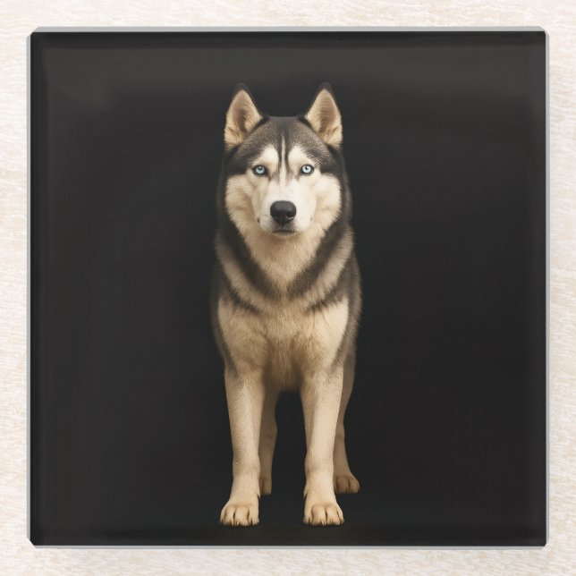 Schwarzer 4 Luxe Glasuntersetzer, Icy Elite Husky Glasuntersetzer (Vorderseite)