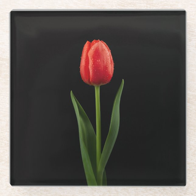 Schwarzer 4 Luxe Glasuntersetzer, Rubinrote Tulpe Glasuntersetzer (Vorderseite)