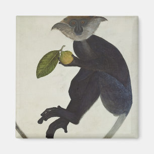 Schwarzer Affe Magnet