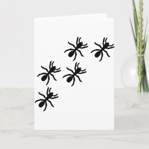 schwarzer Ameisenweg Karte