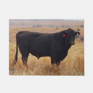 Schwarzer Angus Steer Grazing mit Herde Fußmatte
