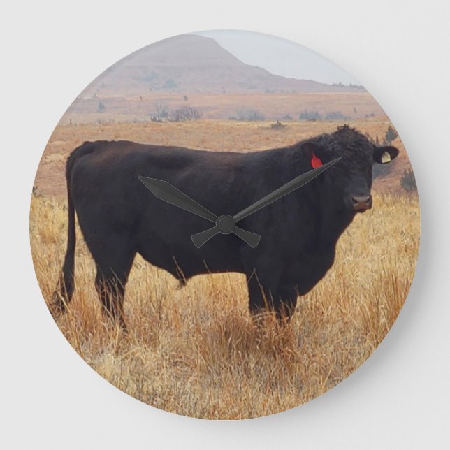 Schwarzer Angus Steer Grazing mit Herde Große Wanduhr (Vorderseite)