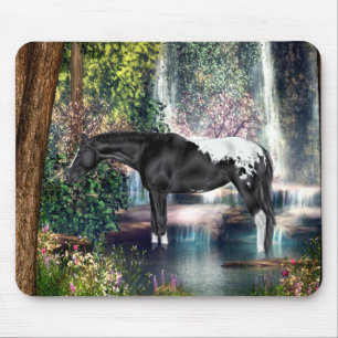 Schwarzer Appaloosa-Pferd Wasserfall Hintergrund Mousepad