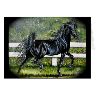 Schwarzer arabischer Pferdebetrieb