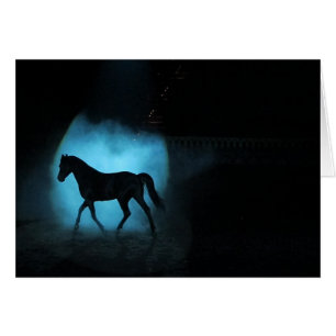 Schwarzer arabischer Stallion