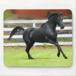 Schwarzer arabischer Stallion Mousepad