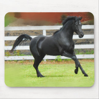 Schwarzer arabischer Stallion Mousepad