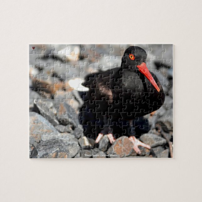 Schwarzer Austernfischer Alaska Puzzle (Horizontal)