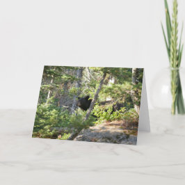 Schwarzer Bär bei Grand Teton Karte