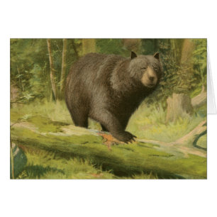 Schwarzer Bär, der auf einen Baum-Stamm tritt