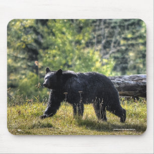 Schwarzer Bär durch eine Ranch-Weide II Mousepad