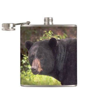 Schwarzer Bär Flachmann
