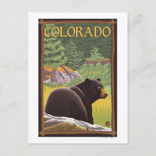 Schwarzer Bär im Wald Colorado Postkarte