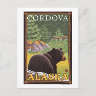 Schwarzer Bär im Wald - Cordoba, Alaska Postkarte
