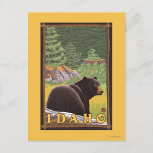 Schwarzer Bär im Wald - Idaho Postkarte