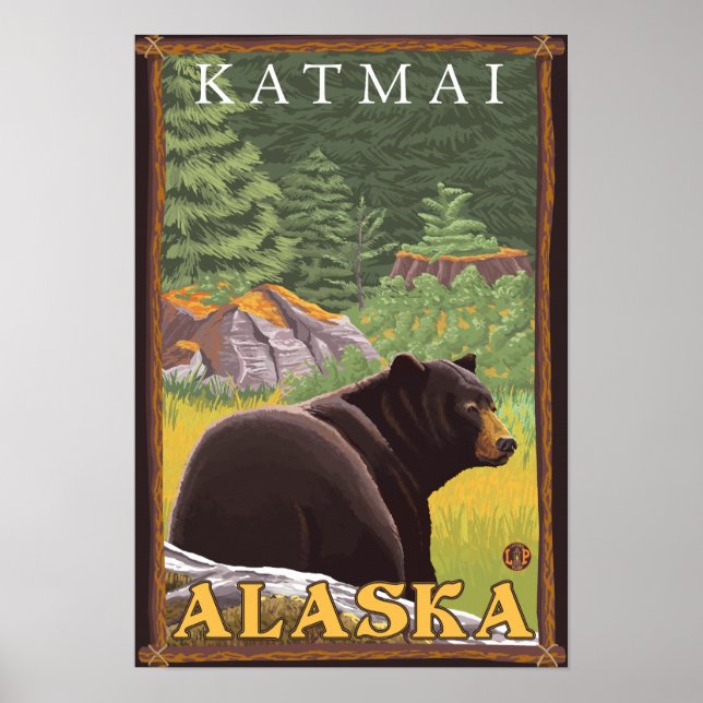 Schwarzer Bär im Wald - Katmai, Alaska Poster (Vorne)