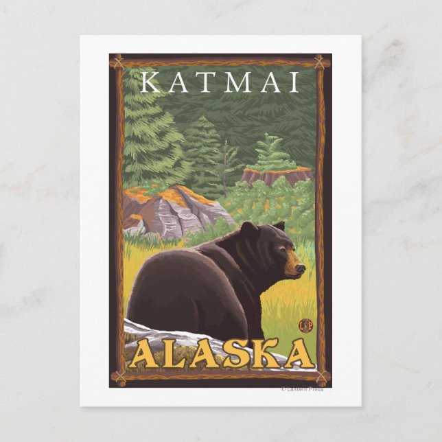 Schwarzer Bär im Wald - Katmai, Alaska Postkarte (Vorderseite)