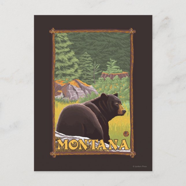 Schwarzer Bär im Wald - Montana Postkarte (Vorderseite)