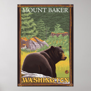 Schwarzer Bär im Wald - Mount Baker, Washington Poster