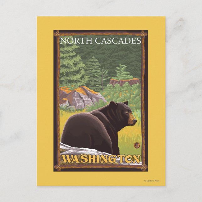 Schwarzer Bär im Wald - Nordkaskaden, Washington Postkarte (Vorderseite)