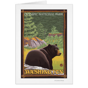 Schwarzer Bär im Wald - Olympischer Nat'l Park, WA
