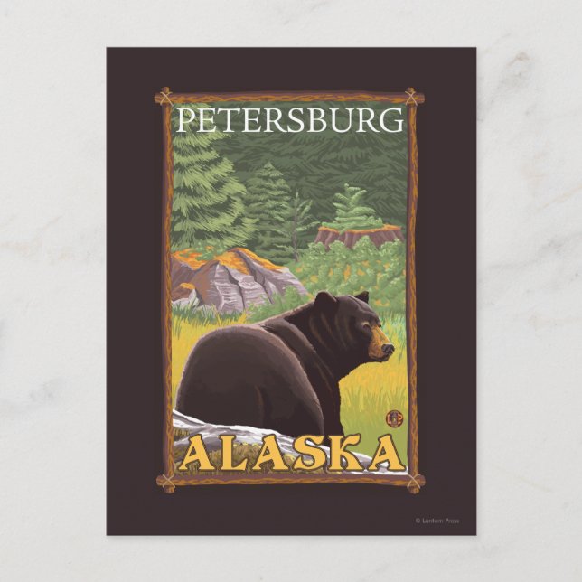 Schwarzer Bär im Wald - Petersburg, Alaska Postkarte (Vorderseite)
