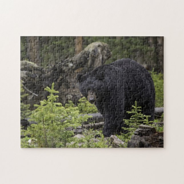 Schwarzer Bär im Wald Puzzle (Horizontal)