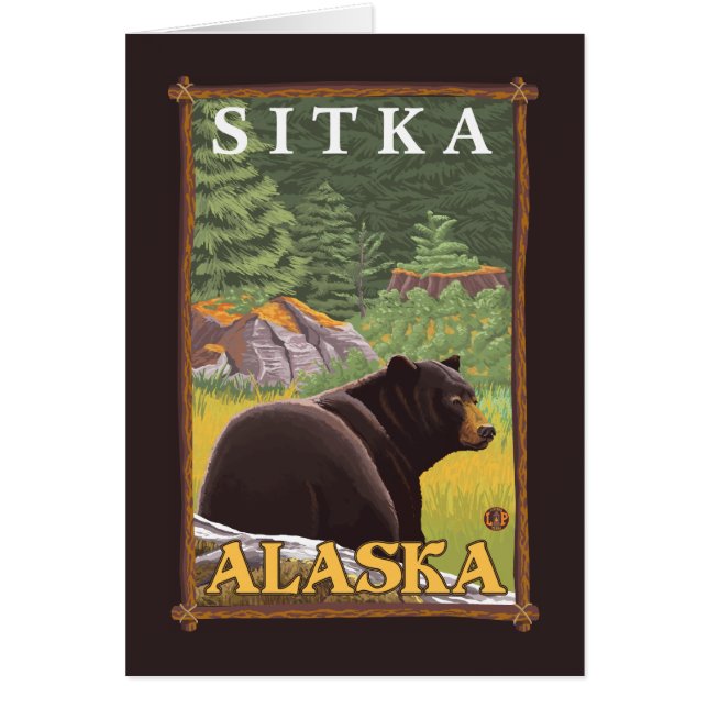 Schwarzer Bär im Wald - Sitka, Alaska (Vorne)