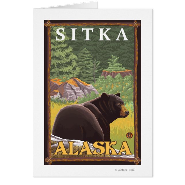 Schwarzer Bär im Wald - Sitka, Alaska (Vorne)