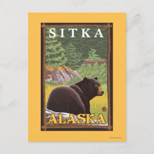 Schwarzer Bär im Wald - Sitka, Alaska Postkarte