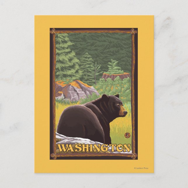 Schwarzer Bär im Wald - Washington Postkarte (Vorderseite)