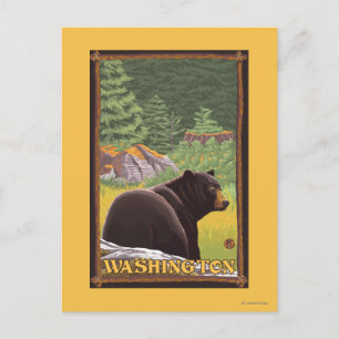 Schwarzer Bär im Wald - Washington Postkarte